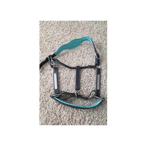 Horse halter black blue padding, name plate for engraving, Circle H hoofbeattack - Picture 2 of 3